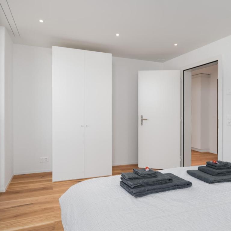 Moderne Neubauwohnung in Wilderswil - Apartment mit 2 Schlafzimmern - 12