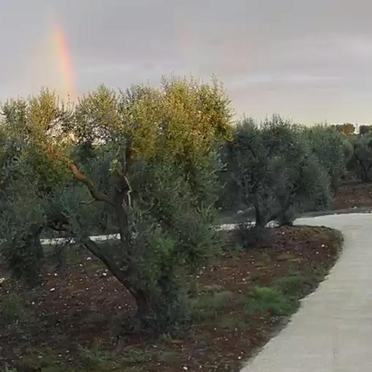 Casedda Ostunese - One-Bedroom Apartment - 47