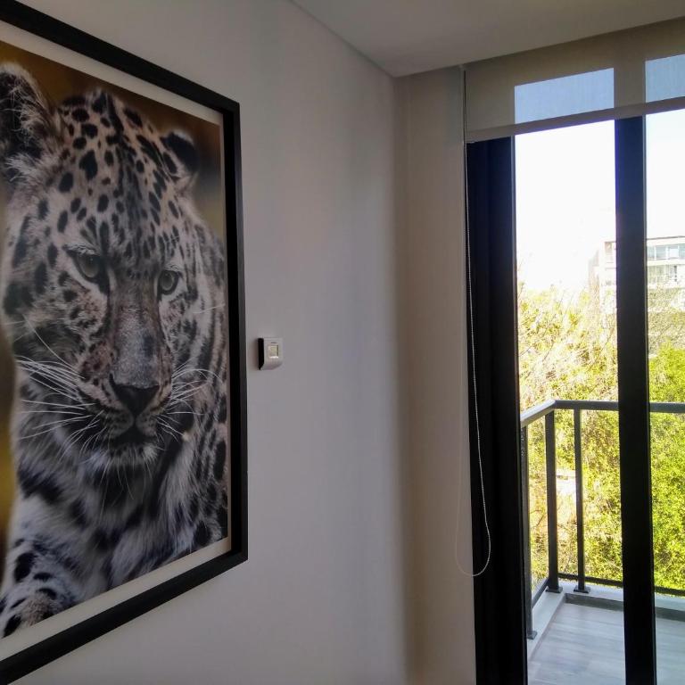 304 San Lorenzo - One-Bedroom Apartment - 21
