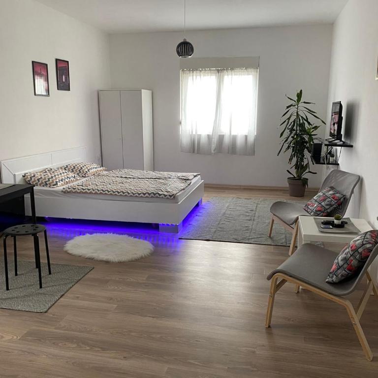 Studio Centar Surcin - Apartman sa 1 Spavaćom Sobom - 1