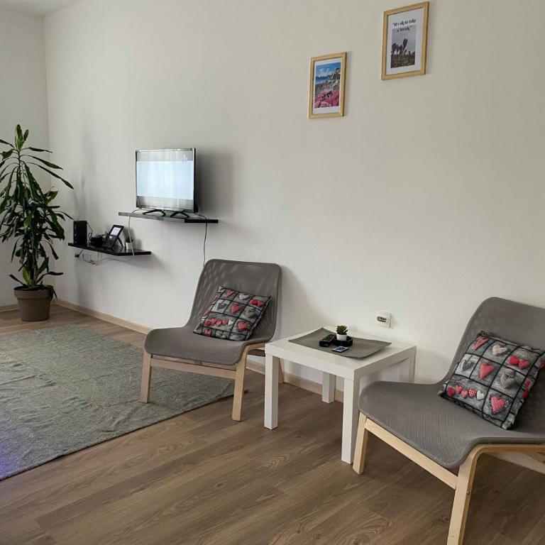 Studio Centar Surcin - Apartman sa 1 Spavaćom Sobom - 3
