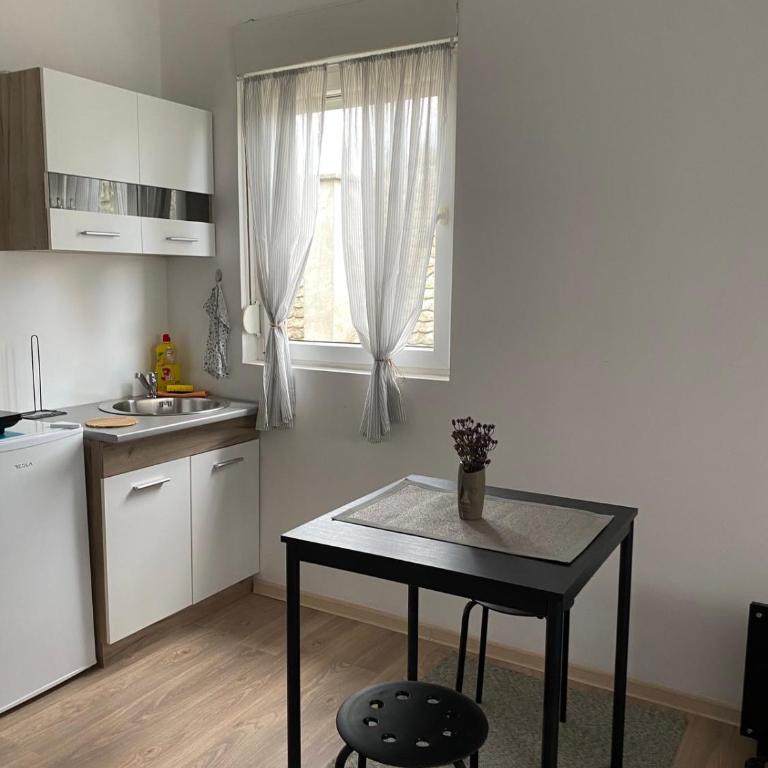 Studio Centar Surcin - Apartman sa 1 Spavaćom Sobom - 2