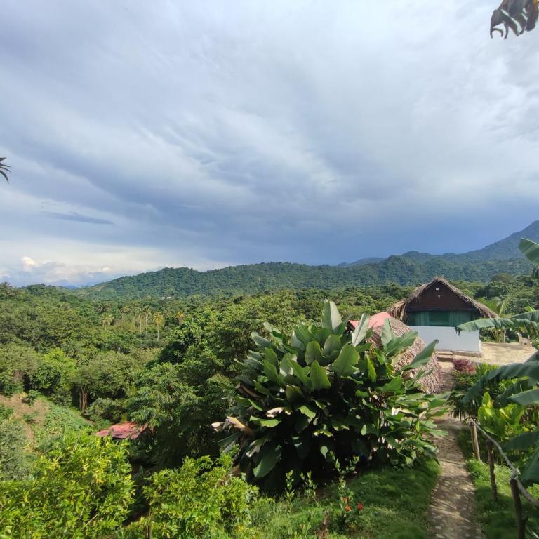HOSTAL MIRADOR dentro del parque tayrona - Economy Quadruple Room with Shared Bathroom - 12