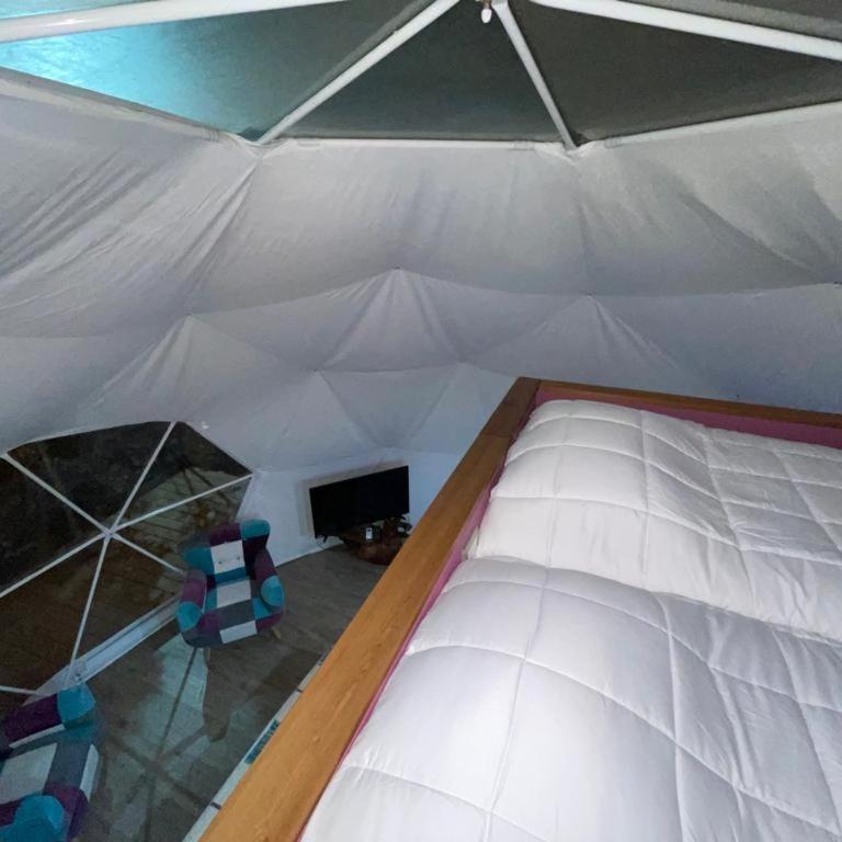 Lodge Los Alerces - Family Suite - 13