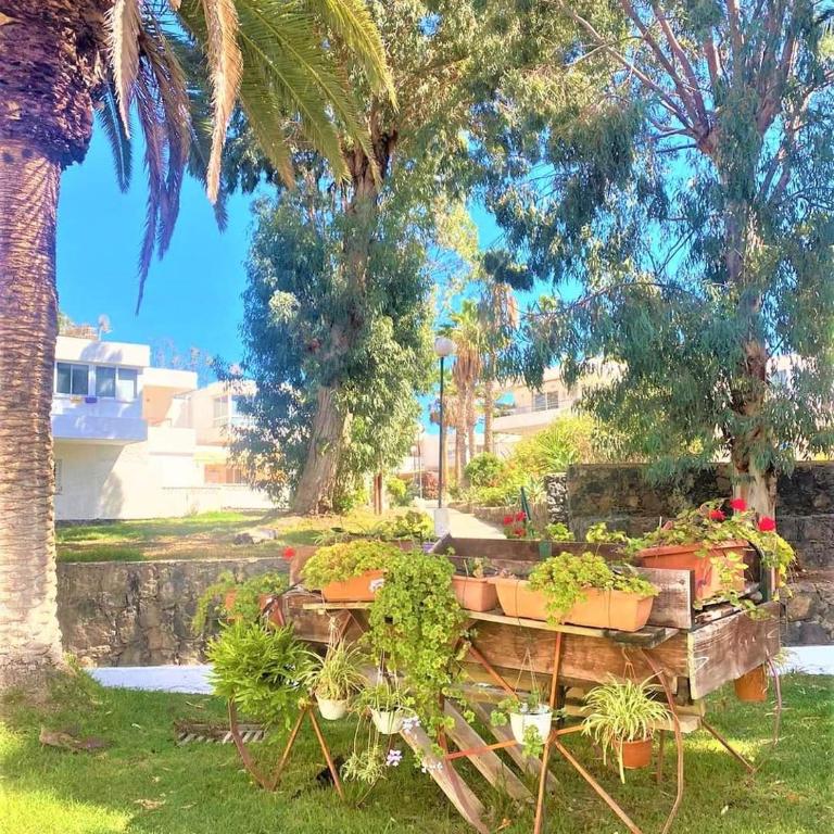 Marysol - Lovely studio Tenerife sur - Estudio con vistas al jardín - 7