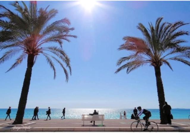 Heart of Nice, Authentic Niçois charm, terrace - Appartement 2 Chambres - 17