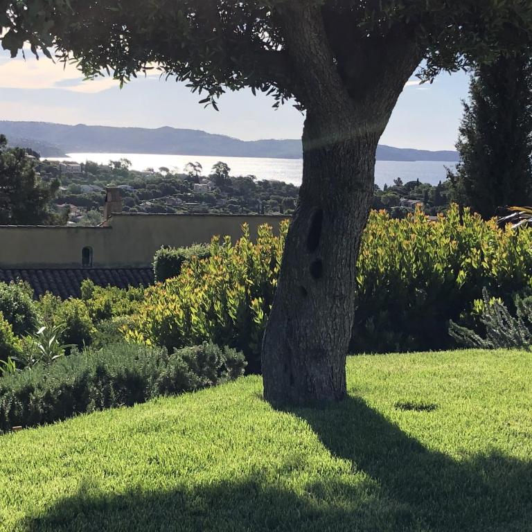 Villa "La vie est belle...!" - Casa con 3 Camere da Letto - 61