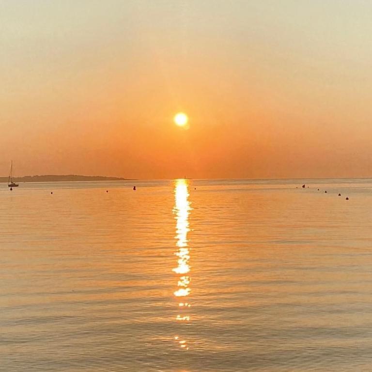 Superbe studio avec piscine entre Cannes & Antibes - Appartement 1 Chambre - 11