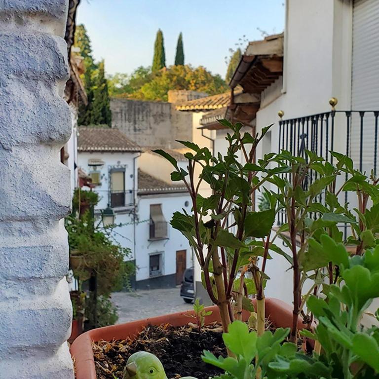 Baños del Agua - Two-Bedroom House - 22