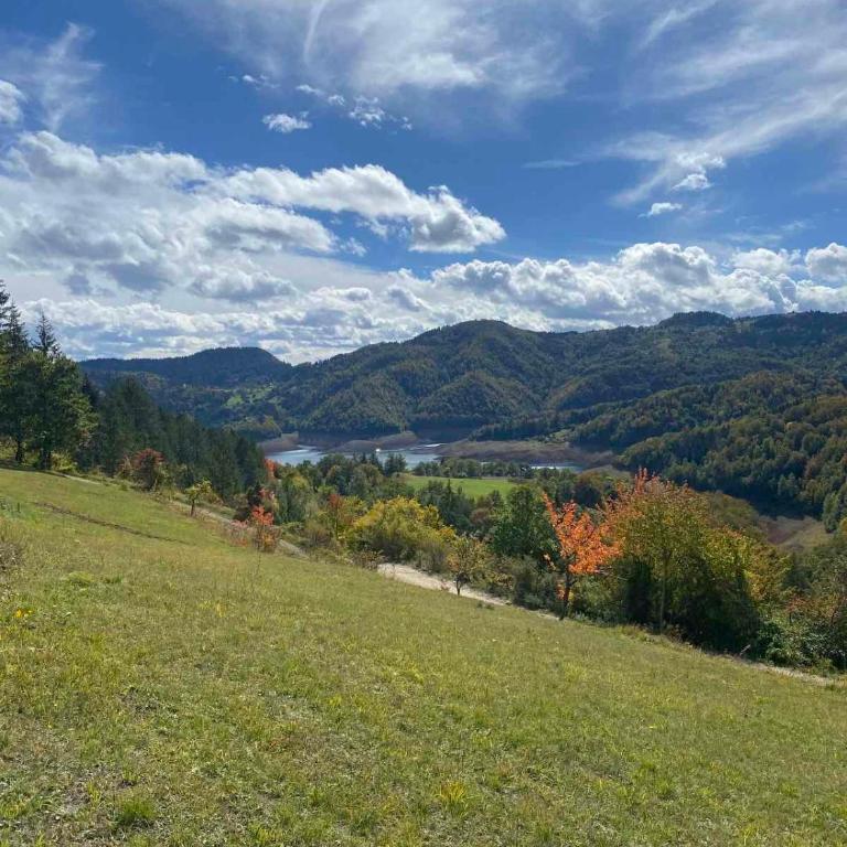 Zaovinska Panorama I - Apartman sa 1 Spavaćom Sobom - 41