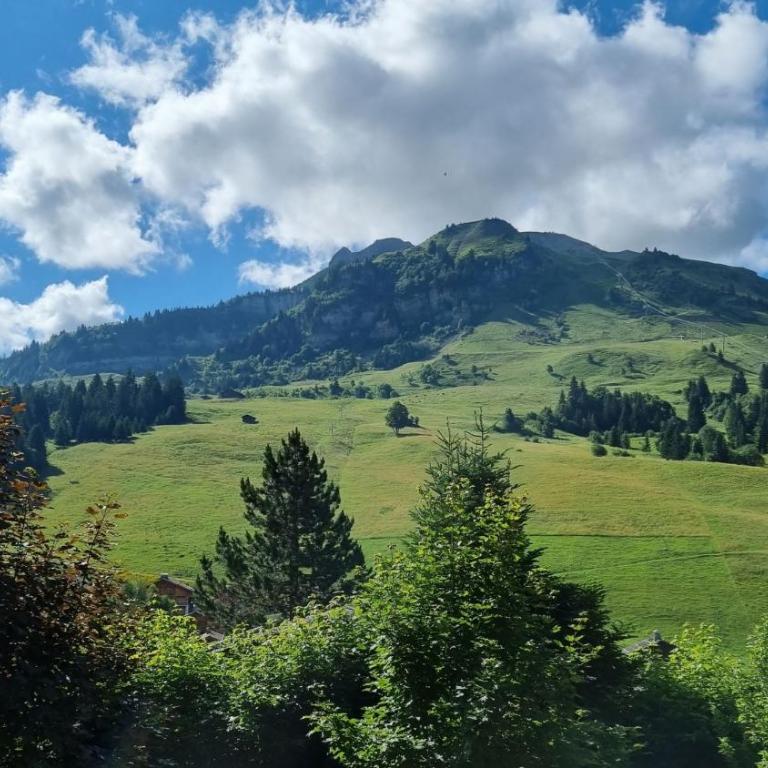 Le Samance 1 - Chalet con 2 Camere da Letto - 27