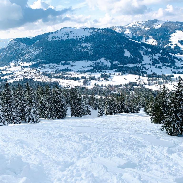 Summit Alps Apartments - Inclusive Bergbahntickets - Apartment - Erdgeschoss - 27