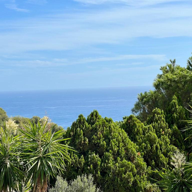 Le Best View, Climatisé vue mer panoramique, Parking gratuit, WIFI - Studio with Ocean View - 11