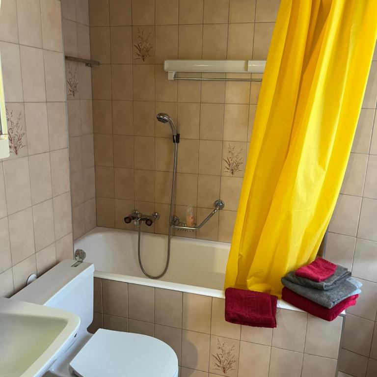Au village d'Evolène, très joli studio calme et ensoleillé - Studio-Apartment - 7