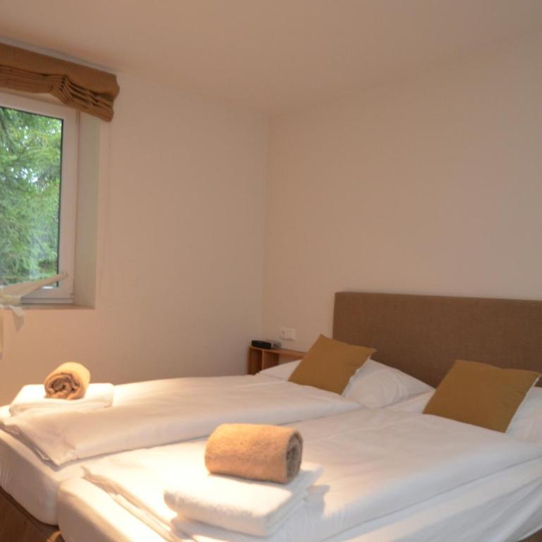 Apartmenthouse 5 Seasons - incl SUMMER CARD by All in One Apartments - Top 5 - Großes Apartment mit 1 Schlafzimmer, Balkon und Bergblick - 13