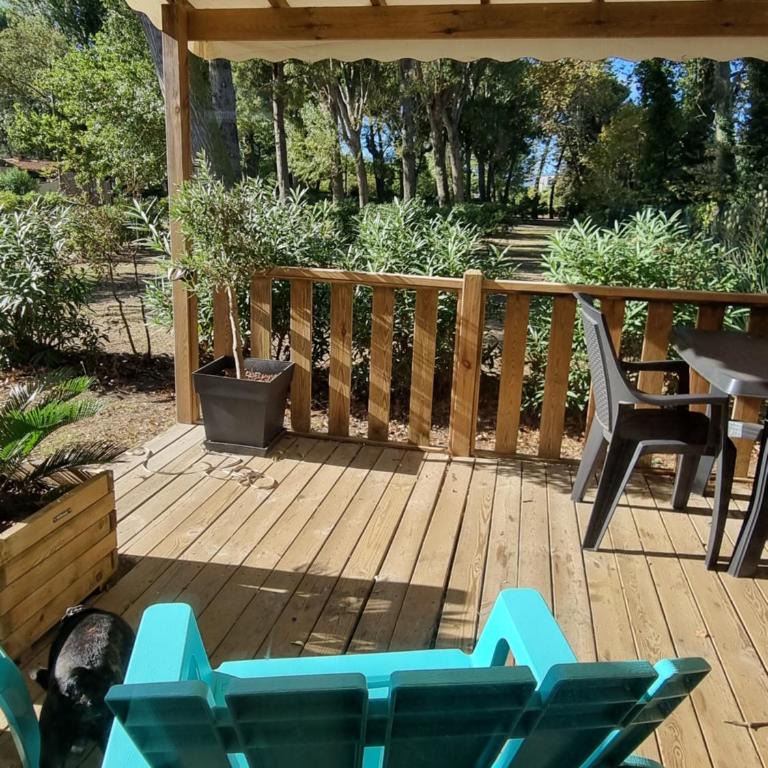 Mobile home De Luxe St Cyprien - Mobilheim - 29