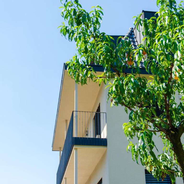 Stürz Ferienwohnungen - Appartamento con 2 Camere da Letto - 17