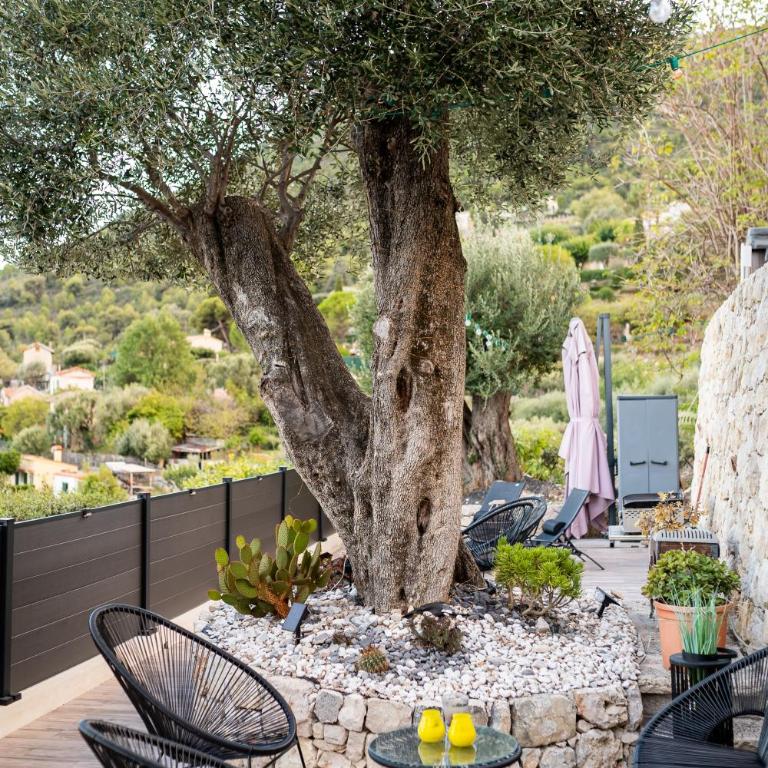 Le petit jardin exotique - Maison 1 Chambre - 39