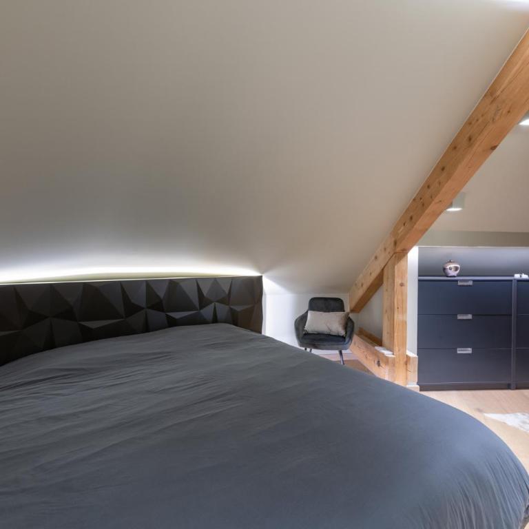 Mairnaige, luxueux appartement avec sauna - Appartement 2 Chambres - 10