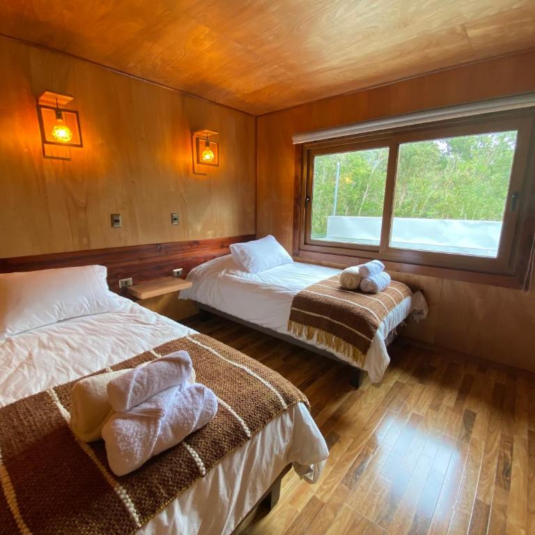 Illi Lodge & Hostel - Twin Room with Private Bathroom - 2