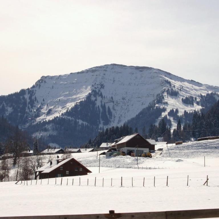 Ferienwohnung Steibis / Allgäu - Apartment - Erdgeschoss - 29