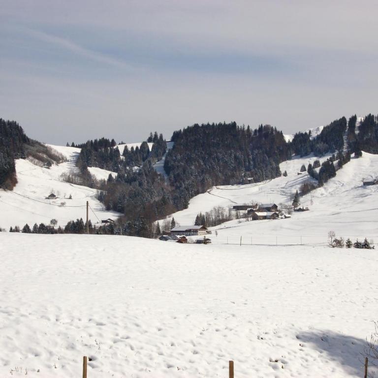 Ferienwohnung Steibis / Allgäu - Apartment - Erdgeschoss - 31