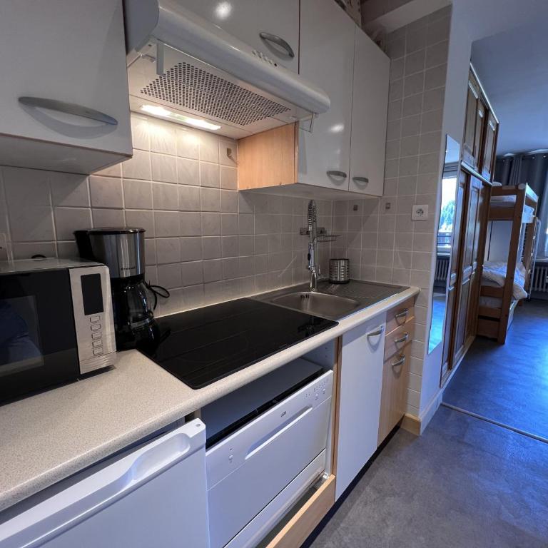Ours Blanc 9 - Studio 4 pers belle vue montagnes et pistes - Estudio con vistas a las montañas - 4