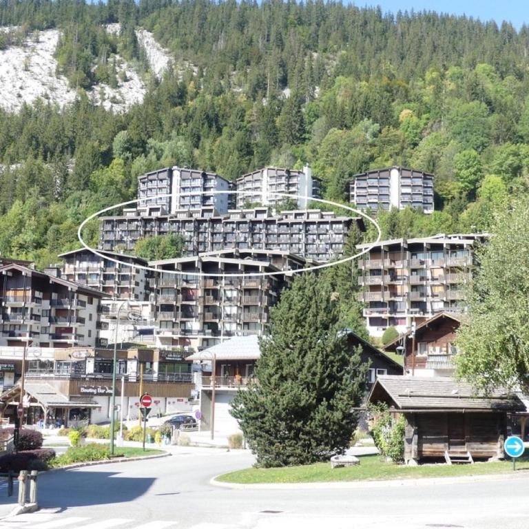 Ours Blanc 9 - Studio 4 pers belle vue montagnes et pistes - Estudio con vistas a las montañas - 9