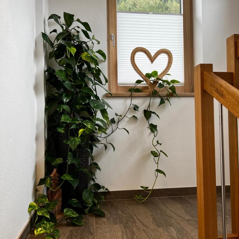 Ferienwohnung Martin Rahm - Appartamento con 2 Camere da Letto - 7