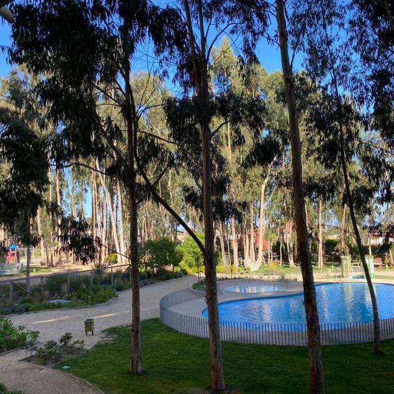 Departamento 3 dormitorios en Algarrobo, Mirasol - Apartamento de 3 dormitorios - 20