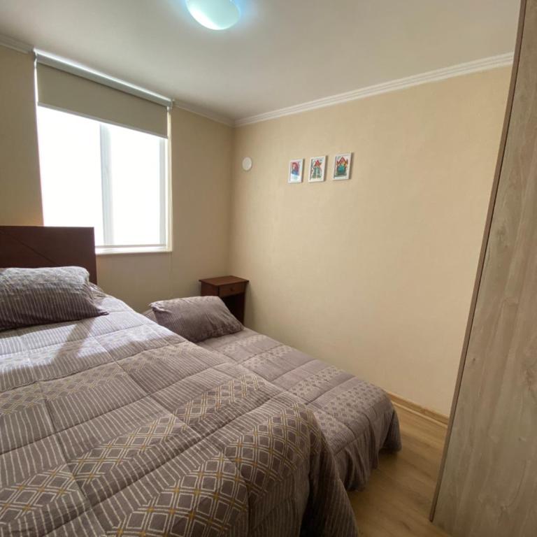 PARQUE AL VOLCAN VILLARRICA - Apartamento de 3 dormitorios - 17