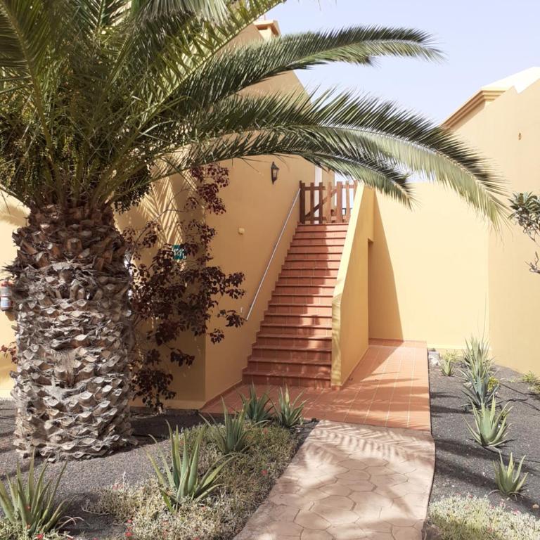 Oasis Waves House Papagayo - Apartamento de 1 dormitorio - 16