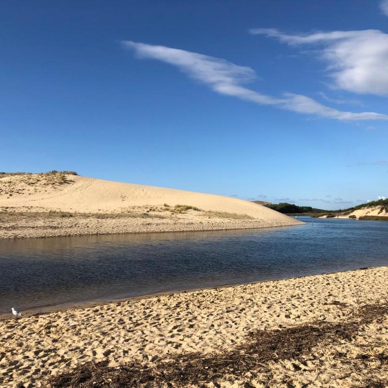 Chaleureux appartement à 500m de l’océan et 150m du Golf Moliets-Plage - Appartement avec Terrasse - 25