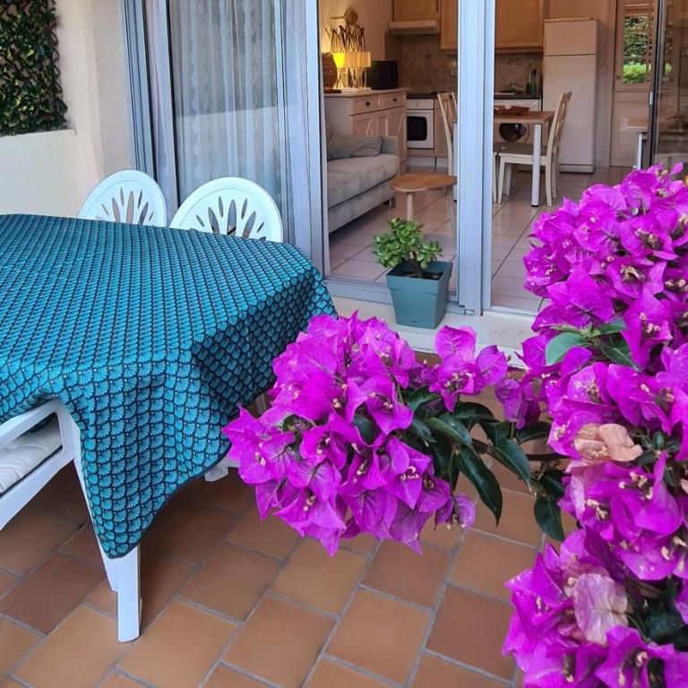 Le Tamaya plage Charmant T2 en rez de jardin A 2 pas d une belle plage de toutes commodités et centre ville port - Appartement 1 Chambre - 1