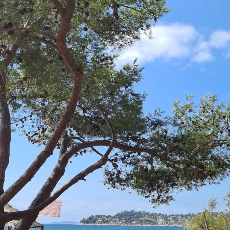 Le Tamaya plage Charmant T2 en rez de jardin A 2 pas d une belle plage de toutes commodités et centre ville port - Appartement 1 Chambre - 8
