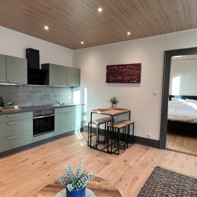 Jadore - Appartements meublés Mulhouse Ville - Apartamento de 1 dormitorio - 1