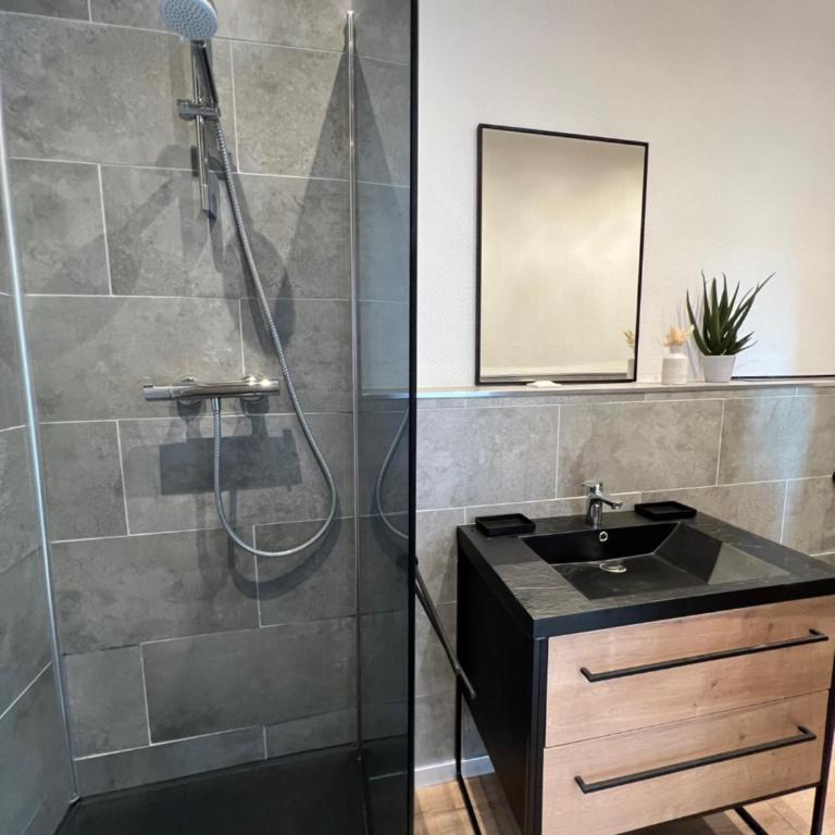Jadore - Appartements meublés Mulhouse Ville - Apartamento de 1 dormitorio - 3