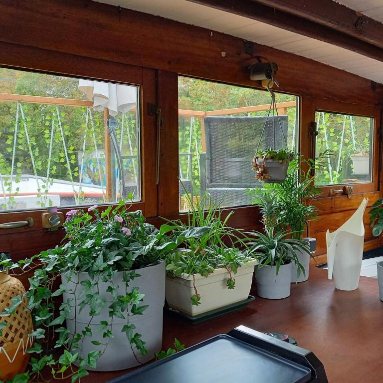Appartement atypique indépendant sur péniche - Appartement avec Terrasse - 39