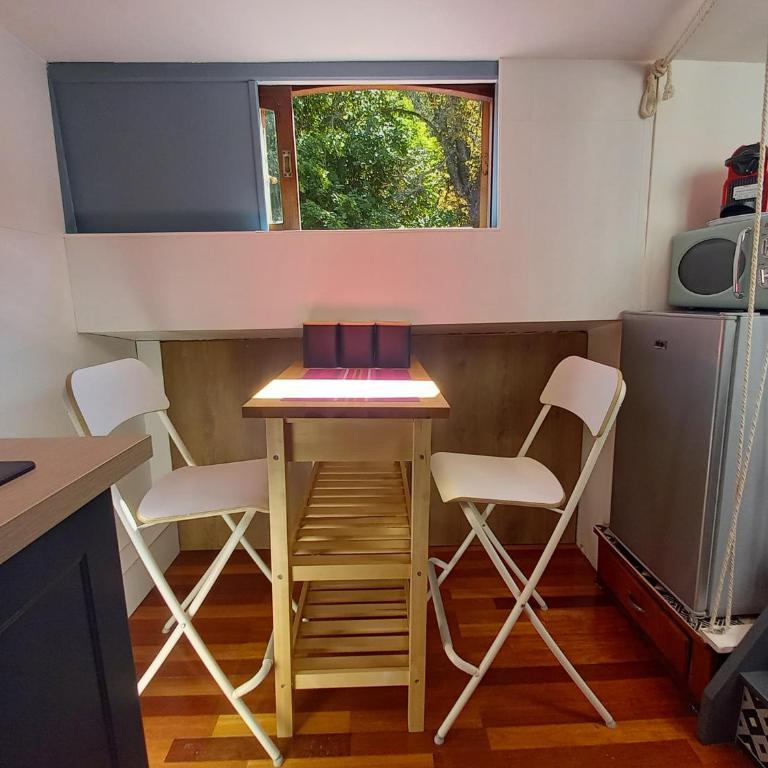 Appartement atypique indépendant sur péniche - Appartement avec Terrasse - 29