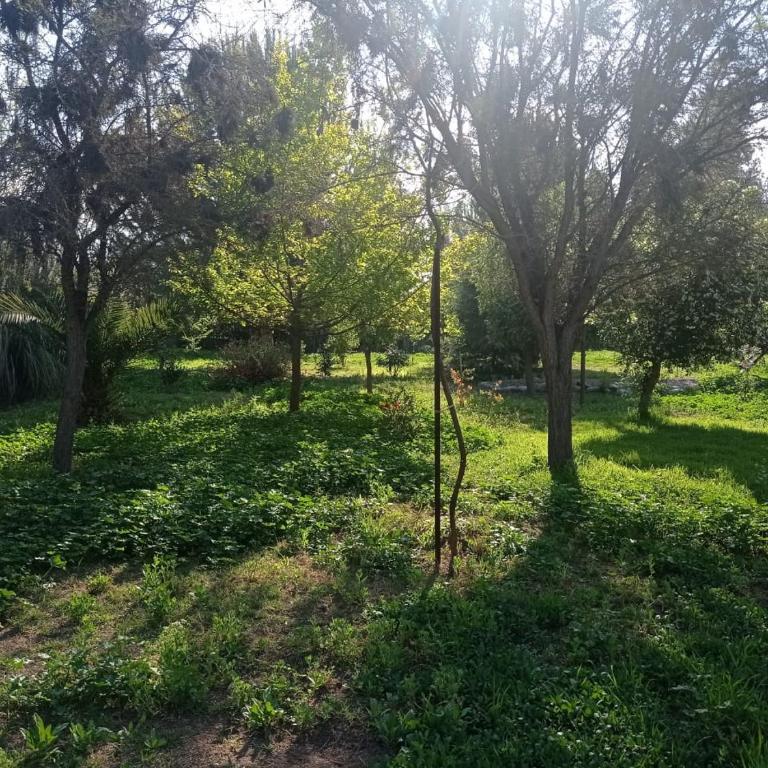 Cabaña Campestre de 1 Ambiente En Paine - Apartamento de 1 dormitorio - 19
