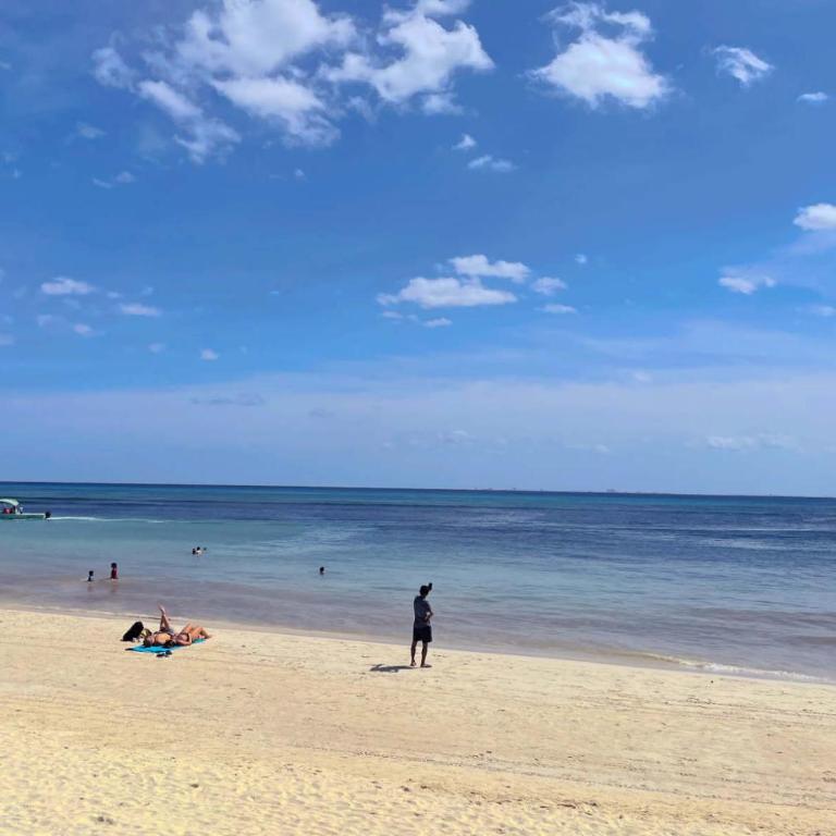 Stylish studio on the 5th Ave of Playa del Carmen - Studio Apartment - 65