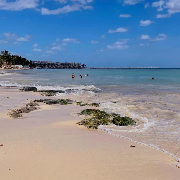Stylish studio on the 5th Ave of Playa del Carmen - Studio Apartment - 7