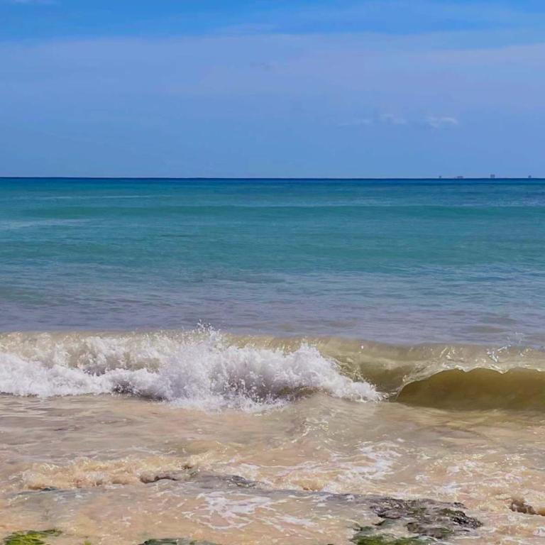 Stylish studio on the 5th Ave of Playa del Carmen - Studio Apartment - 76