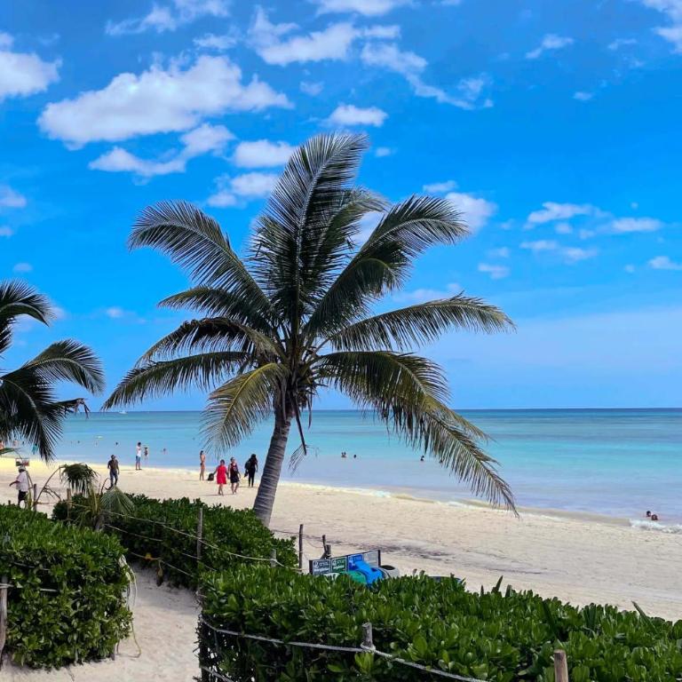 Stylish studio on the 5th Ave of Playa del Carmen - Studio Apartment - 84
