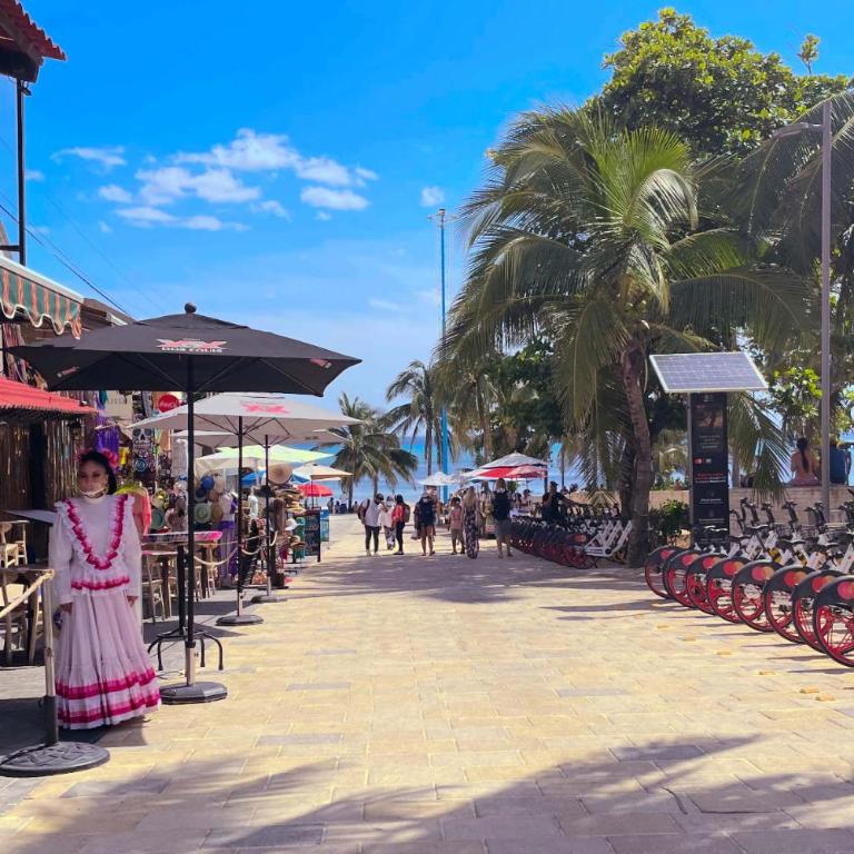 Stylish studio on the 5th Ave of Playa del Carmen - Studio Apartment - 91