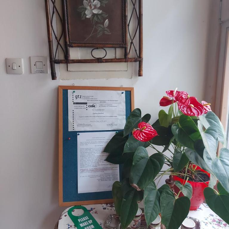 Guest House Pavlovic - Apartman sa 2 Spavaće Sobe - Prizemlje - 1