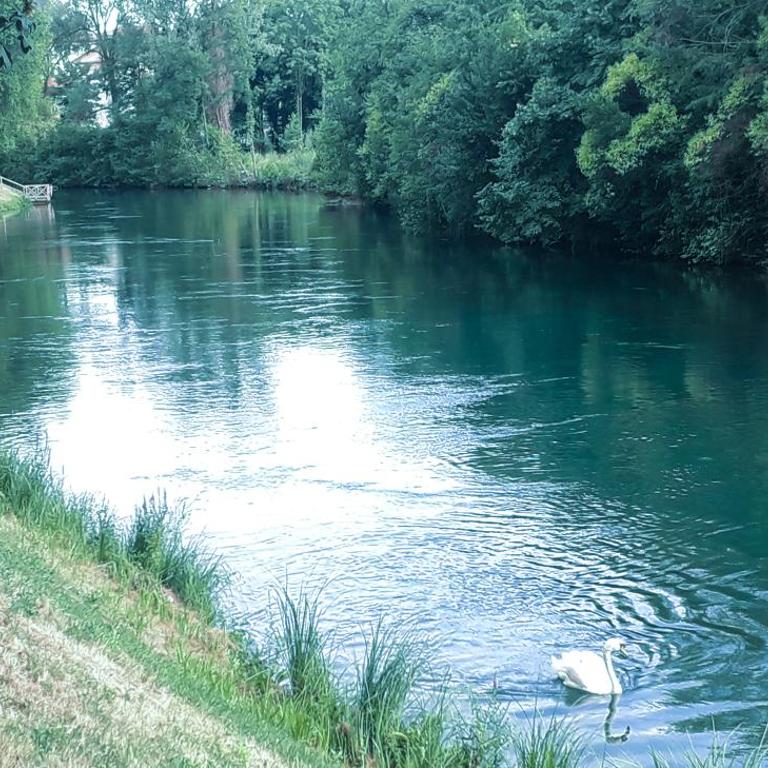 Ampio APPARTAMENTO VICINO AL CENTRO DI TREVISO, PARCHEGGIO GRATUITO - Apartment mit 2 Schlafzimmern - 17
