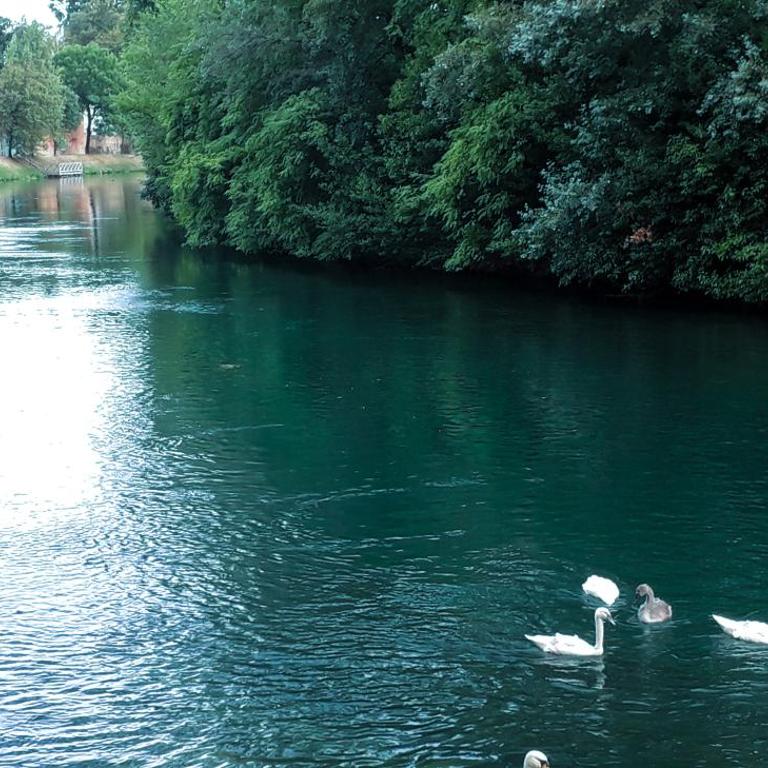 Ampio APPARTAMENTO VICINO AL CENTRO DI TREVISO, PARCHEGGIO GRATUITO - Apartment mit 2 Schlafzimmern - 18