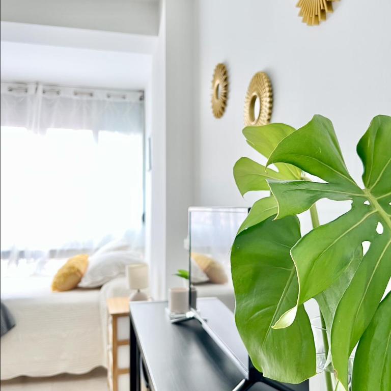PRECIOSO ESTUDIO CON PISCINA, JUNTO A LA PLAYA - One-Bedroom Apartment - 4