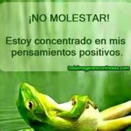 Agradable casa , parrila, cable e internet - Casa - 5